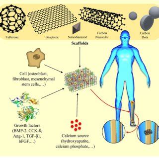  Carbon Nanotube：Revolutionizing Medical Implants and Tissue Engineering Applications?