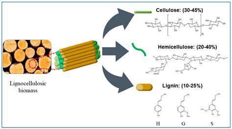  Cellulose Acetate: 高性能的生物降解材料，適用於多樣化的工業應用！