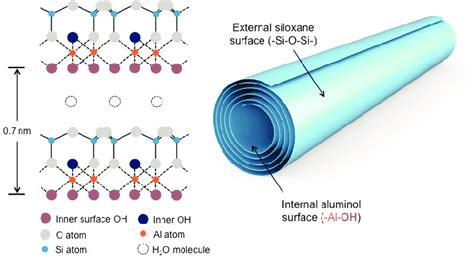  Halloysite nanotubes 探索無限可能：陶瓷與納米技術的完美結合！